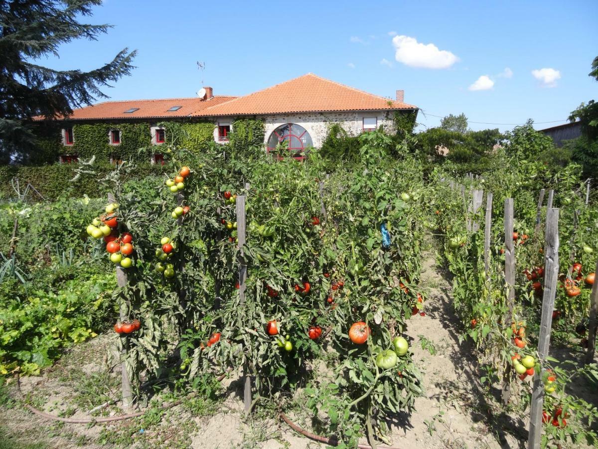 Готель La Ferme De Rouffignac Blanzac  Екстер'єр фото